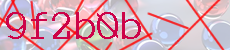 9f2b0b